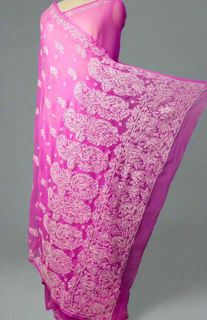 Alnoora Hand Embroidered Pink Georgette Lucknowi Chikankari Saree