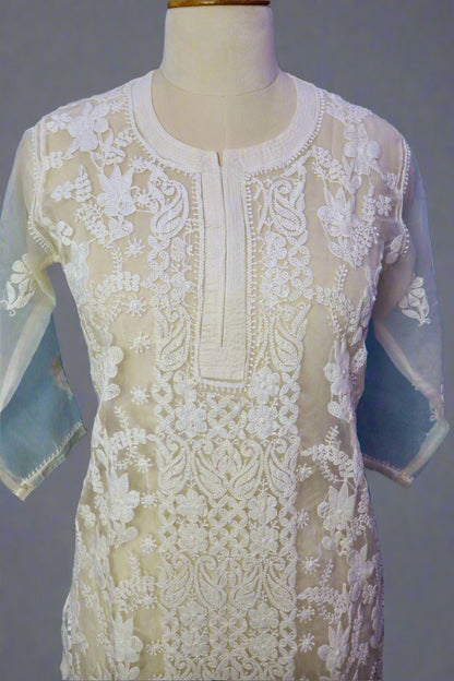 Alnoora Hand Embroidered Organza Lucknowi Chikankari Straight Kurti