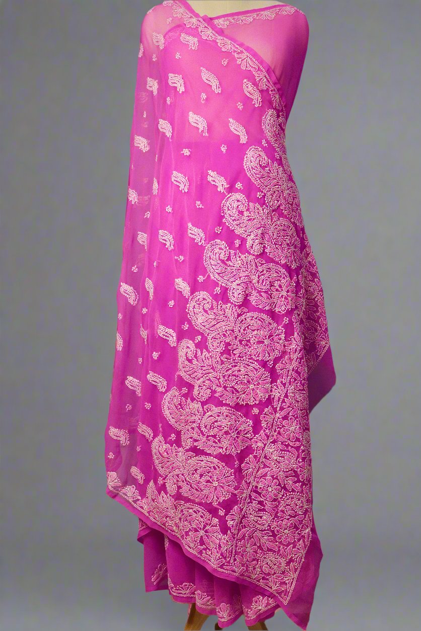 Alnoora Hand Embroidered Pink Georgette Lucknowi Chikankari Saree