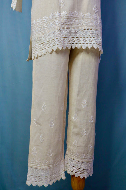 Alnoora Hand Embroidered Cotton Lucknowi Chikankari Co-Ord Set